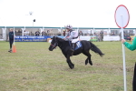 SBM_09966