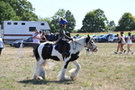WJ6_8946