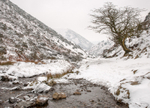 Bodbury Hill from Mott's Road, Carding Mill Valley