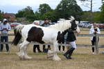 WJ6_8351