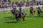 120626-Race 5-Antipodes-0287