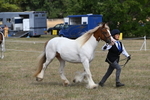 WJ6_6530