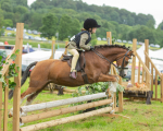Dunblane show-222
