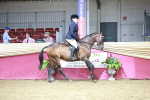 SBM_08028