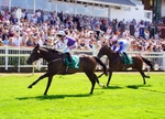 240726-Race 2-Blakey Ridge-01126