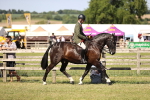 SBM_18748