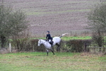 WJ6_5343