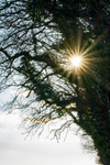 28th February Sunburst