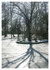 4 Shadows on the Ice, Rowntree's Park, York