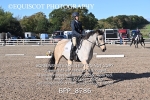 BPP_8786