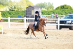 SBM_007739