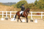 SBM_017731
