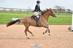 Friday 5th Huish Arena = Click to View Photos portfolio