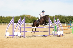 SBM_003165