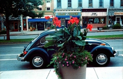 Color film portfolio