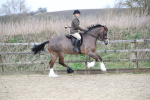 SBM_007207