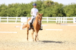 SBM_010184