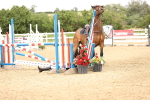 SBM_007442
