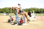 SBM_003703