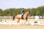 SBM_015087