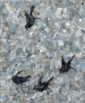Blackbird 760mm x 925mm