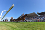 Race 4 15.45pm Jill Willows Handicap portfolio