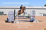 BPP_1228