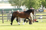 SBM_02057