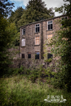 Edenwood 11