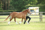 SBM_10585