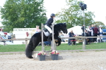 SBM_17911