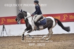 BPP_3825