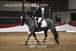 BPP_2302