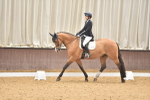 SBM_011010