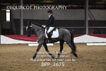 BPP_2675