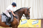 SBM_001055