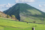 Ilam-1136