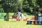 WJ6_3877