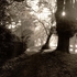 Riverside Walk (Nunns Bridges), Thetford