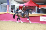 SBM_06366