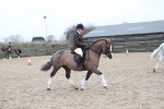SBM_007231