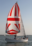 100619 MANGE TOUT GBR1543L IMG_3393