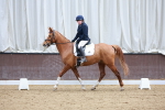 SBM_008235