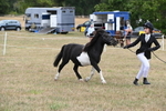 WJ6_5339