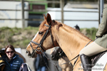 BVRC SJ 170319 355