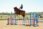 SBM_000676