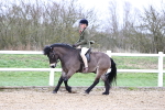 SBM_007432