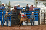 3HRodeo7-11-24_LJD_3HR1903_LJD