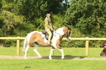SBM_67436