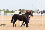 SBM_16590
